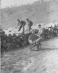 Canadian Forestry Corps at work. (Windsor Park) 1914-1919
