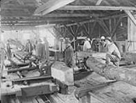 Canadian Forestry Corps in England: Logs in process of manufacture 1914-1919