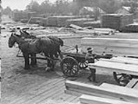 Canadian Forestry Corps in England: Method of 'one man' loading 1914-1919