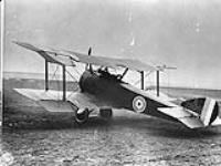 Aeroplane. Sopwith Pup 1914-1919