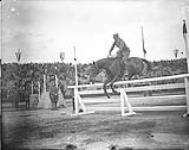 (Horses) Captain Caccinder, Italy on his Irish mount, Faceto. Inter-Allied Games Pershing Stadium, Paris, July 1919 1919.