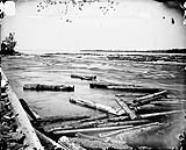 Sawlogs aground at the Deschenes Rapids August, 1873.