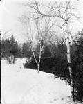 Grounds at Rideau Hall [after 1882].