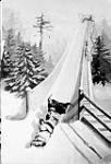 Lord Dufferin and party on the Toboggan slide at Rideau Hall March, 1881.