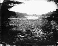 Jam of 150,000 sawlogs on the Lievre River [ca. 1876].