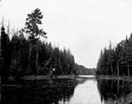 An old beaver dam at Cache Lake n.d.