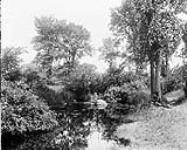 Beaver Meadow Brook n.d.