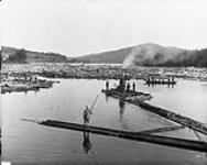 Bingham logs at Cascades - log driving, Gatineau River August, 1900.