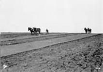 Plowing Honeywell farm in Britania March, 1910.