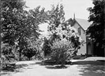 W.D. Scott's residence and Sumac trees July, 1910.