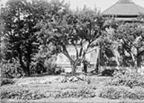 Garden scene at W.D. Scott's residence July, 1910.