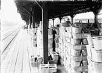 Shipping Platform, preparing for train March, 1911.