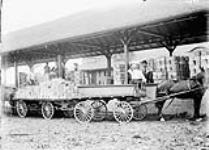 Delivering fruit to the Shipping platform March, 1911.