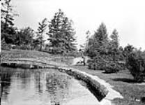 Pond near Rideau Aquatic Club, Driveway [ca. 1911].