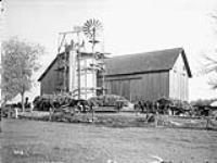 W. F. Osborne filling silo [between 1900-1910].