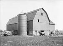 D. W. Vallean's farm, horse and barn n.d.