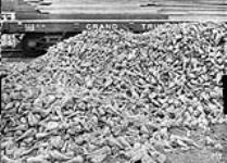 Sugar Beets for shipment - G.T.R 1913.