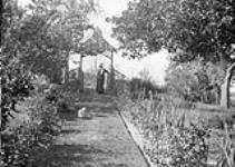 Trellis in garden, W.D. Scott's 1913.