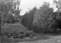 J.L. Lammiman's lawn, Norwick Rd 1913.