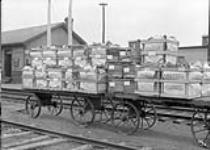Celery awaiting shipment by Express Thedford, Ont. 1913 1913.