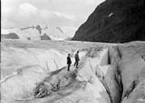 On the Glacier of Mount Robson 1913.