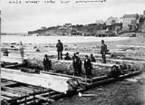 Booth's raft from Madawaska, Ont [between 1868-1923].