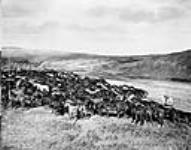 Horse Ranching, Cypress Hills (Alberta) n.d.