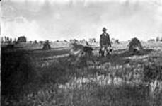 Shooting ducks, 6 miles west of Edmonton 1868-1923