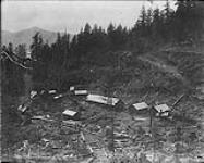 Logging camp 1868-1923