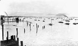 Salmon Fleet 1868-1923
