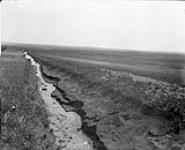 7 miles of irrigable land, showing the lateral [Western Irrigation Block] - (No.) 67 (C.P.R. (Canadian Pacific Railway)) 1868-1923