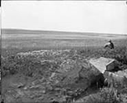 5 miles of irrigable land from Lateral Strathmore in distance [Western Irrigation Block] - (No.) 66 (C.P.R. (Canadian Pacific Railway)) 1868-1923