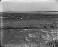 Looking 3 miles across main canal and reservoir. [Western Irrigation Block] - (No.) 37 (C.P.R. (Canadian Pacific Railway)) 1868-1923