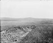 4 miles of irrigable land from lateral - Hammer Hill in distance - (No.) 68 (C.P.R. (Canadian Pacific Railway)) 1868-1923