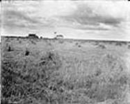 Wheat fields and homestead 3 miles north of Gleichen (Alta.) (No.) 100 ($C .P.R.$) n.d.