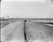 Irrigating farm 2 miles east of Gleichen [Western Irrigation Block] - (No.) 102 (C.P.R. (Canadian Pacific Railway)) 1868-1923