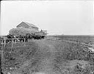 Demonstration farm [Western Irrigation Block] - (No.) 148 (C.P.R. (Canadian Pacific Railway)) 1868-1923