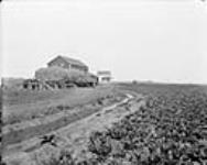 Demonstration farm [Western Irrigation Block] - (No.) 147 (C.P.R. (Canadian Pacific Railway)) 1868-1923