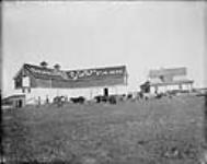 Irrigated Demonstration Farm No.3 [Western Irrigation Block] - (No.) 151 (C.P.R. (Canadian Pacific Railway)) 1868-1923