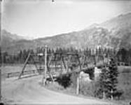 Bridge at Banff, Alta [between October 4-5, 1901].