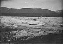 Break up of ice on the Yukon 1896