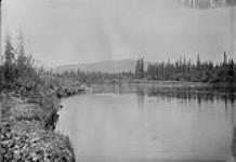 (Canada Alaska Boundary) Looking up from the mountain of Little Salmon River, 1895