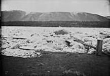 Break up of ice on the Yukon River 1895