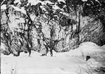 (Canada Alaska Boundary) Rock Cliff on Glacier Creek, Tributary to Fortymile River, Alaska, 1896 1896.