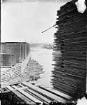 J.R. Booth's lumber piles, Ottawa, Ont [ca. 1873].