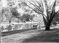 [Central Park] [ca. 1911].