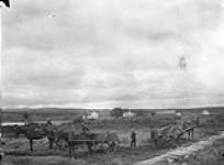 [Horses and wagons on a farm.] n.d.