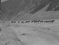 E. Wilmot & pack train crossing glacier to Porter-Idaho, Marmot Glacier, B.C. July 1928