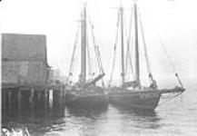 Fishing schooners in Yarmouth Harbour, N.S. July 1928