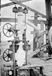 Close up of control head of Range #1 well, showing ice formed when valves opened & gas allowed to flow, Dead Horse Coulee, Alta Aug. 1931